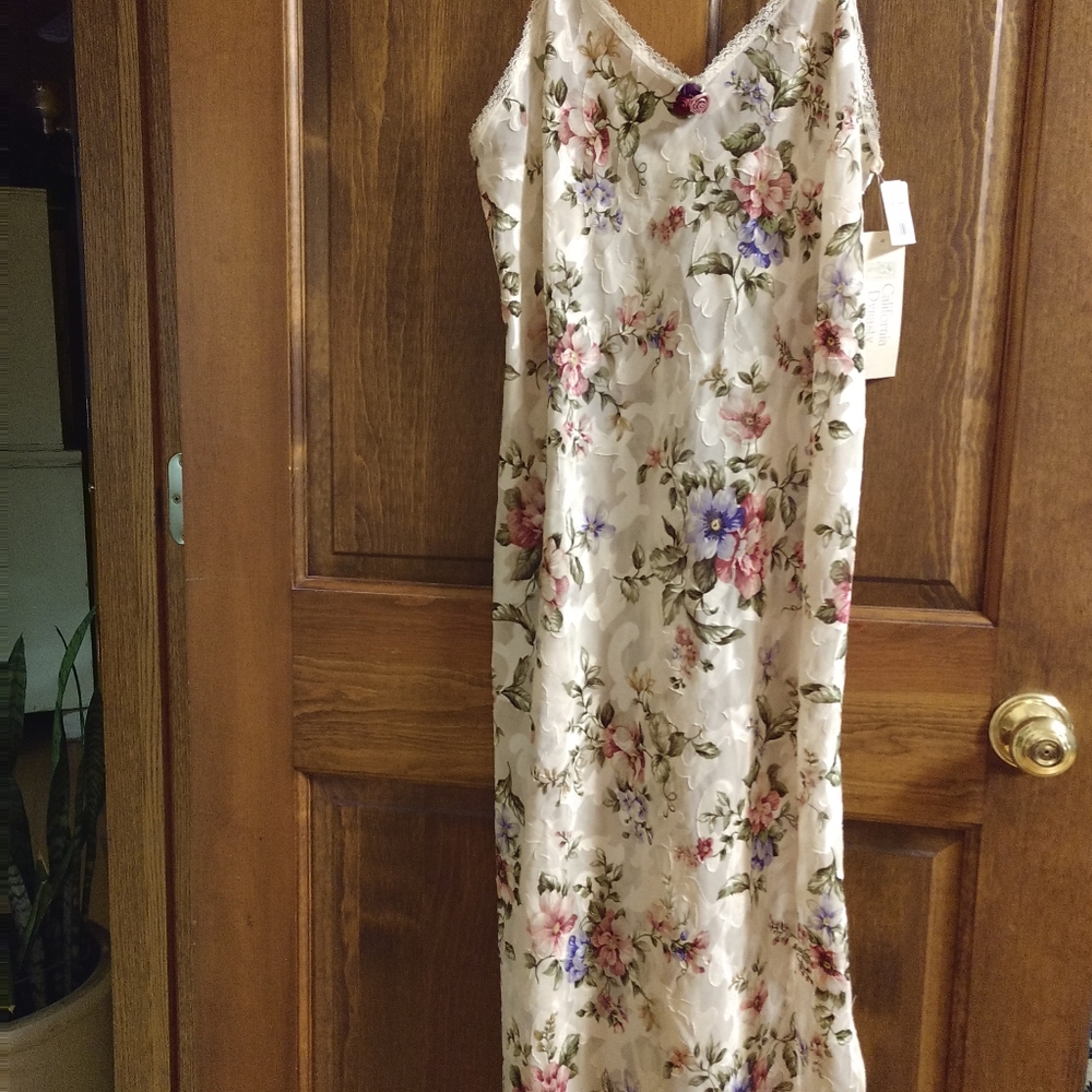 Negligee. Nightgown